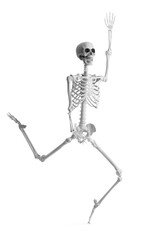 Human skeleton running and waving hand on white background