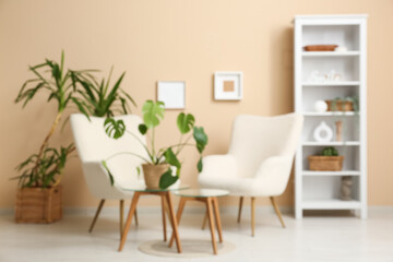 Interior of stylish living room with white armchairs, coffee table and houseplants in wicker baskets