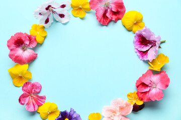 Frame made of different beautiful edible flowers on blue background