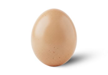 Chicken Egg Isolated PNG With Shadow on Transparent Background