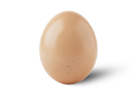 Chicken Egg Isolated PNG With Shadow on Transparent Background
