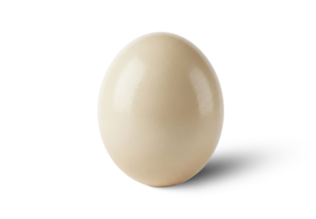 Ostrich Egg Isolated PNG With Shadow on Transparent Background