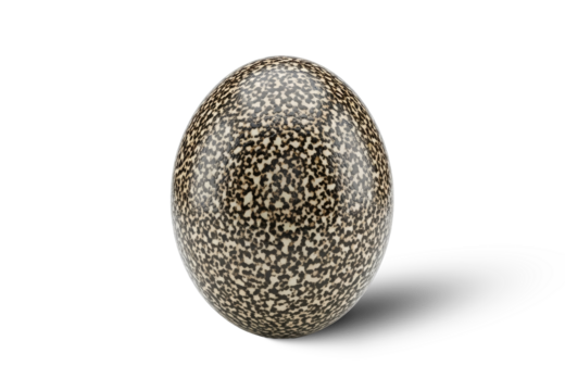 Mottled Egg Isolated PNG With Shadow on Transparent Background
