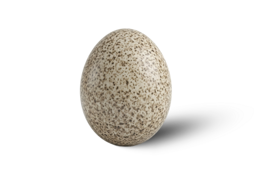 Speckled Egg Isolated PNG With Shadow on Transparent Background