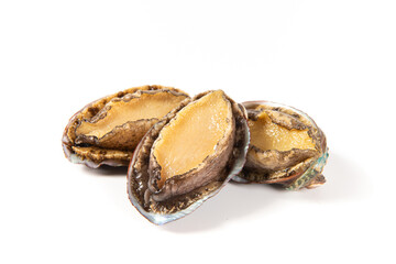 raw abalones isolated on white background.