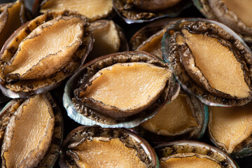 closeup of raw abalones background.