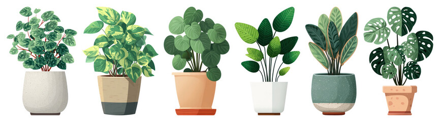 Fototapeta premium PNG Colorful potted plants illustration, element set on transparent background