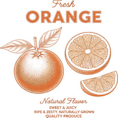 vintage grunge orange fruit print design, women's graphic tee artwork for food fashion. sweet & juice