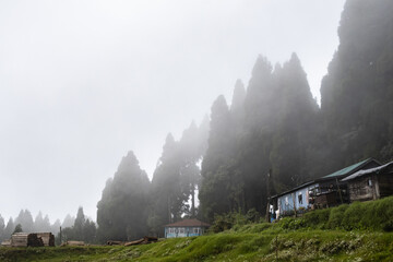 Misty Hill Village of chataidhura darjeeling with Wooden Houses, Green Grassland, and Pine Forest under Overcast Sky
