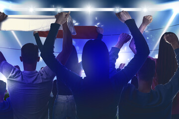 Fans standing in spectator area at stadium, back view