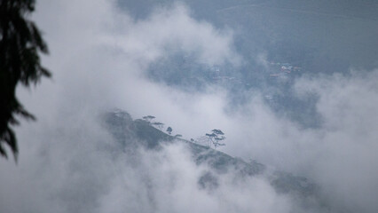 Foggy Mountain Slope with Silhouetted Trees and Hidden Village in the Misty Hills of India
