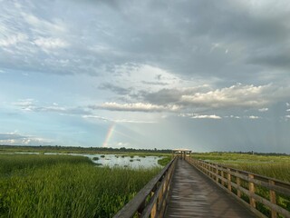Half rainbow in cloudy sky over green marshland