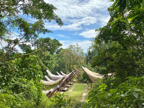 View from the top of the traditional Tongkonan house in Buntu Pune village, Tana Toraja, South Sulawesi