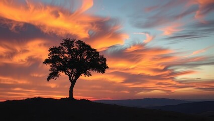 Silhouette of a tree on a hill against a vibrant sunset sky with colorful clouds