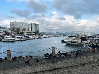 Tarabya Marina (Istmarin) panorama view in Istanbul, Turkey. 