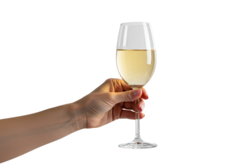 Hand holding a glass of white champagne isolated on transparent background