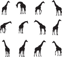 Collection of diverse giraffe poses in black silhouette against white background