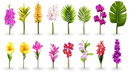 Obraz premium Vibrant Tropical Flowers Botanical Illustrations