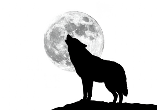 Silhouette of wolf howling at moon isolated on transparent background