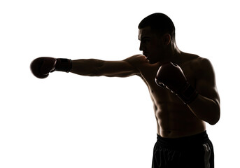 Boxer throwing a punch isolated on transparent background