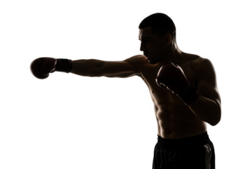 Boxer throwing a punch isolated on transparent background