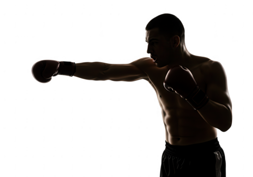 Boxer throwing a punch isolated on transparent background - Powered by Adobe