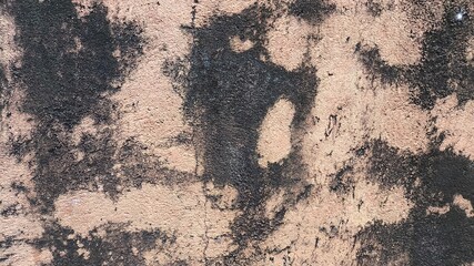 High-resolution cement wall texture with concrete details, usable for backdrop, texture layer, or architectural design references in construction or raw material themes.