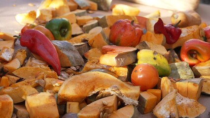 Food Loss. Organic Waste. Discarded yet edible food problem