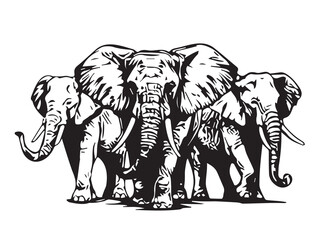 elephant_group_vector_image