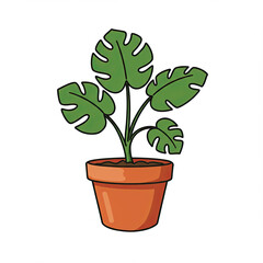 Obraz premium Monstera Plant in Pot, Simple Illustration