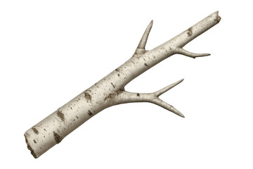 Photorealistic birch branch isolated on a transparent background, perfect for digital compositions and design projects