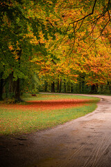 Nature colors