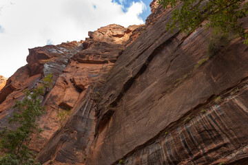 Red Rock Walls and Blue Skies in Zion National Park