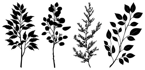 PNG Silhouette botanical plant collection, element set on transparent background