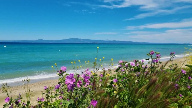 An empty, scenic beach in Kassandra, Chalkidiki, Greece, just before tourist season. Spring flowers dance in the breeze as the Sithonia peninsula stretches across the horizon