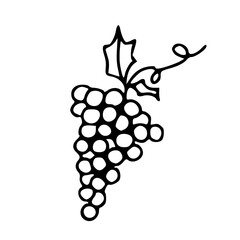 Fototapeta premium bunch of grapes line art