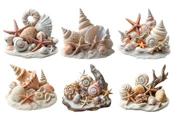 Obraz premium Decorative Shells and Starfish Display on Soft Sandy Background