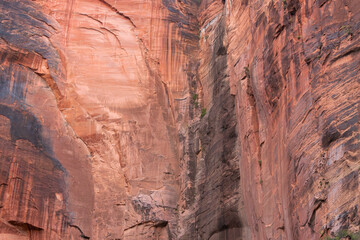 Red Rock Wall Texture in Zion National Park