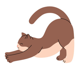 Domestic cat stretching. Flat vector illustration.
