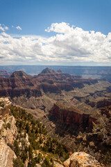 Fototapeta premium Vertical Downward View of Grand Canyon National Park South Rim