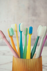 Colorful toothbrushes arranged in a holder on a tabletop