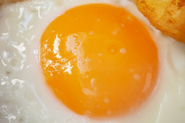 Perfectly cooked sunny side up egg on a plate