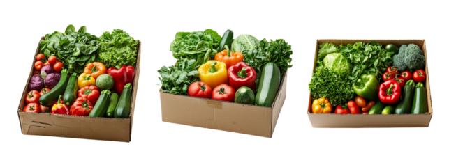 Fresh and Colorful Vegetables in Cardboard Boxes for Healthy Lifestyle
