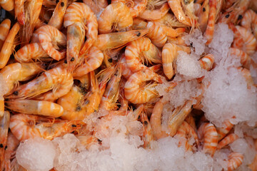 Fresh shrimp piled on ice at a local market