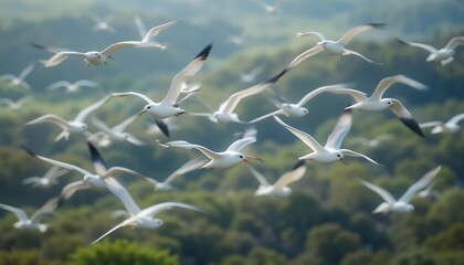 A large flock of seagulls flying gracefully over a lush green forest on a misty morning