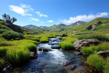Mountain stream flows through lush valley