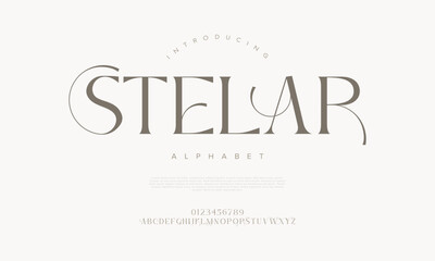 Sophisticated serif font with elegant curves and modern styling, ideal for editorial and branding use