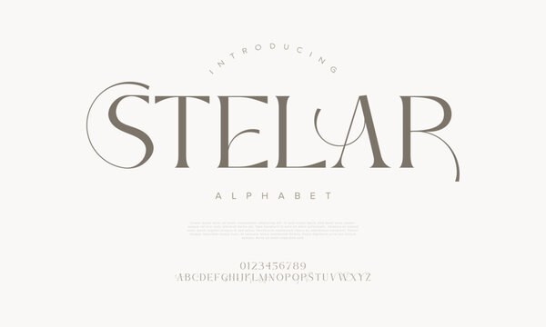 Sophisticated serif font with elegant curves and modern styling, ideal for editorial and branding use - Powered by Adobe