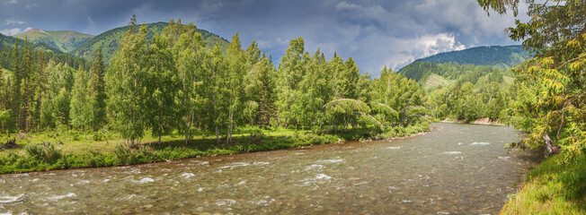 Wild taiga river, summer landscape, panoramic view