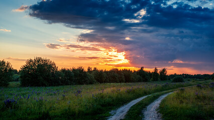 Country road and green wheat fields natural scenery at sunrise or sunset.